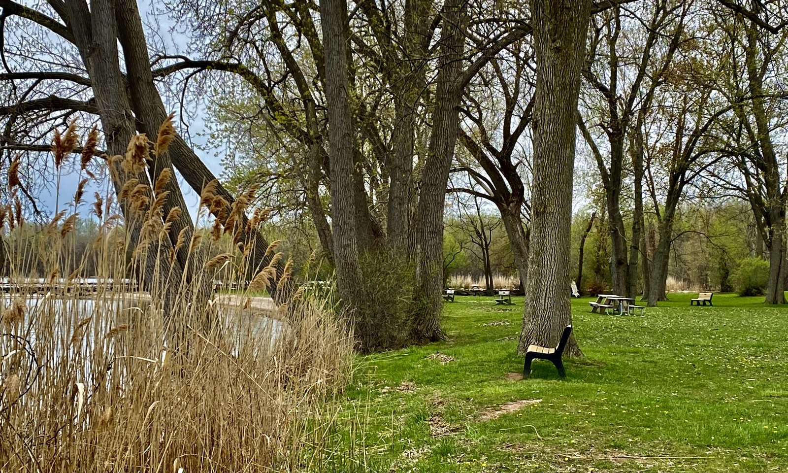 Willow Bay shoreline, Onondaga Lake Park